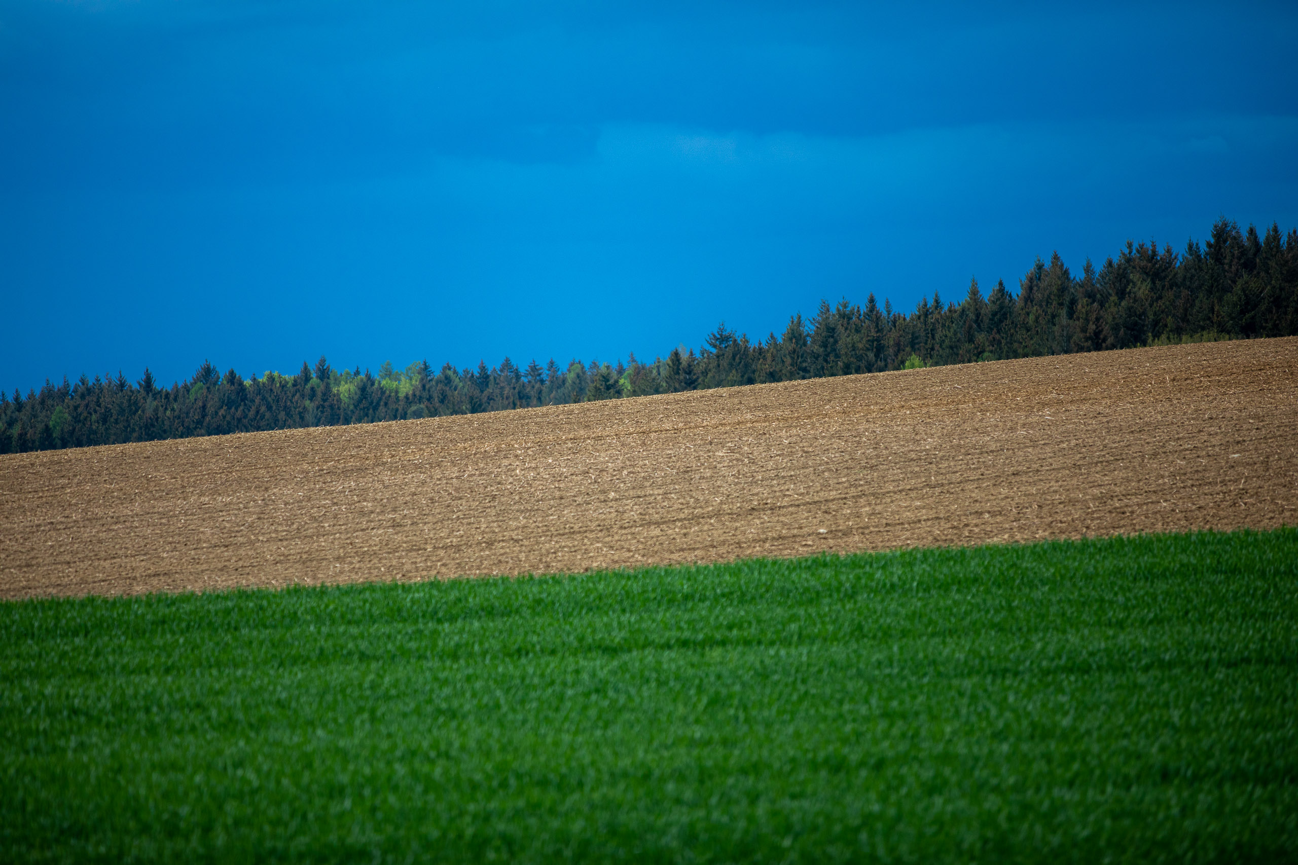 20230507154134 RD4 3988